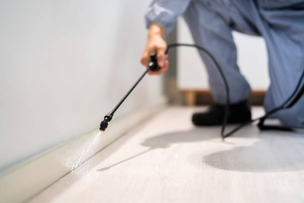 Licensed Cockroach Control service in Piedmont, SD - Nex Pest Control